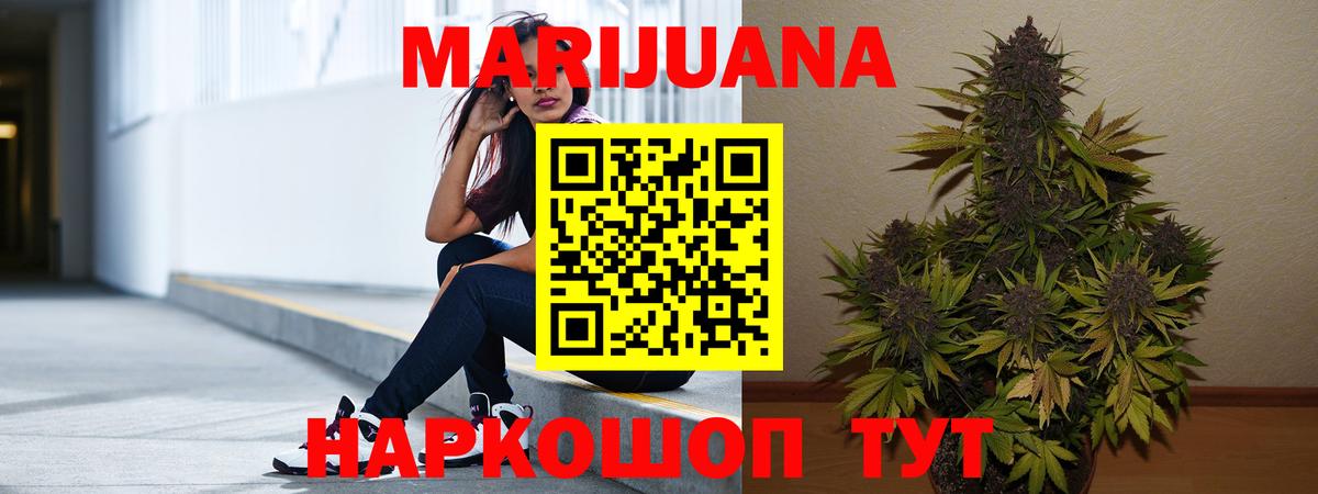 Бошки марихуана Amnesia  Вход с VPN  Марихуана VHQ  Шишки марихуана конопля  Сертолово 